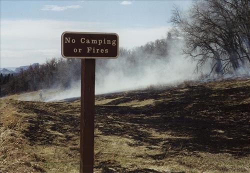 Prescribed fire for fuels reduction, 2002, Zion National Park