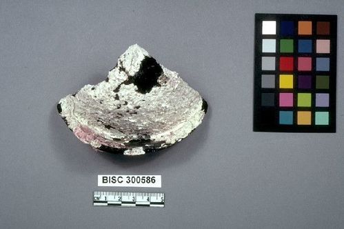 BISC  300586 -- Bottle