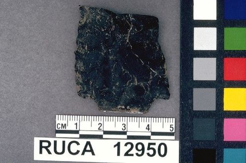 RUCA   12950 -- Point, Projectile