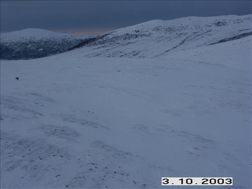 1 Yukon-Charley Rivers National Preserve Wolf Capture 2003