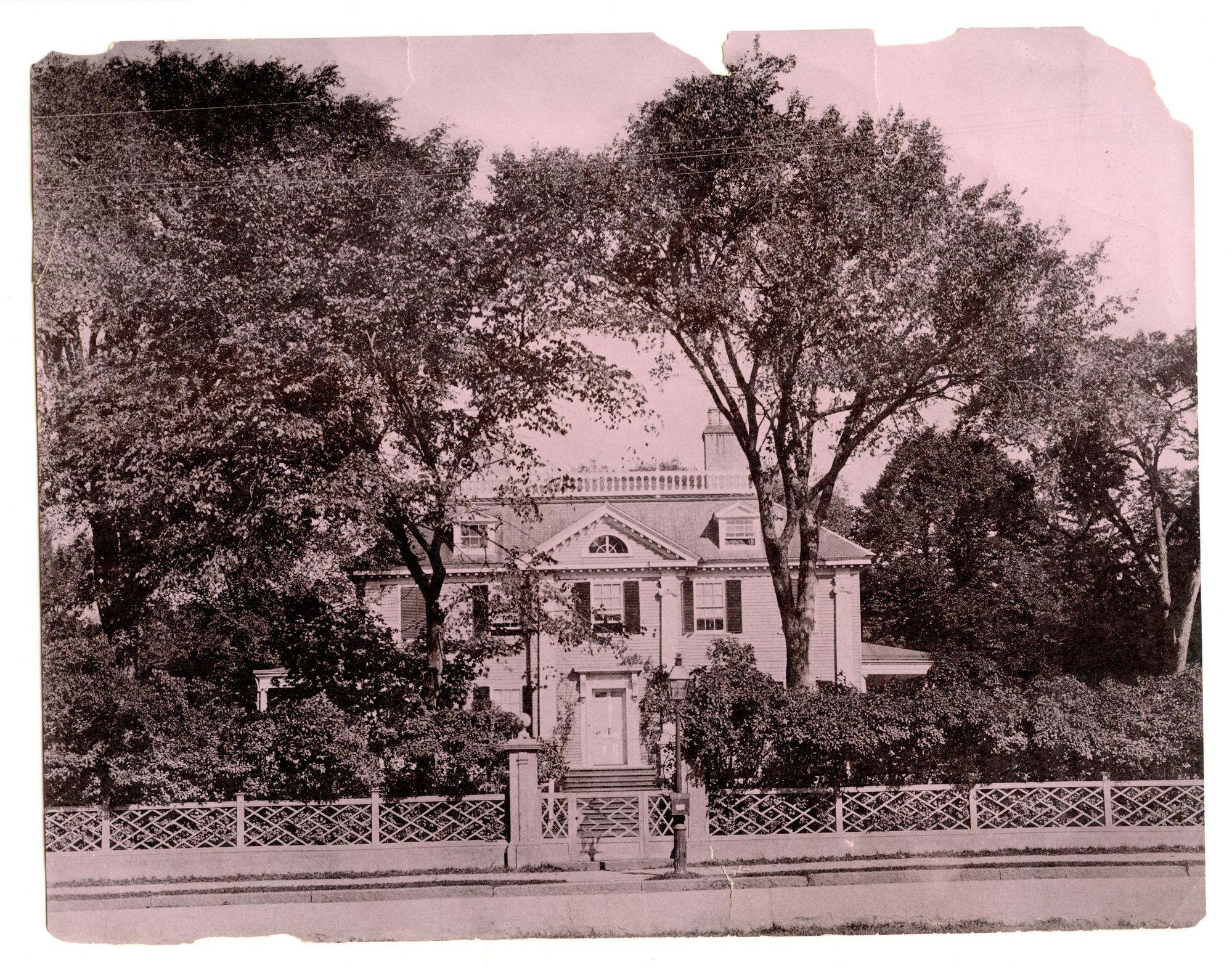 Georgian mansion from across the street framed by two tall trees