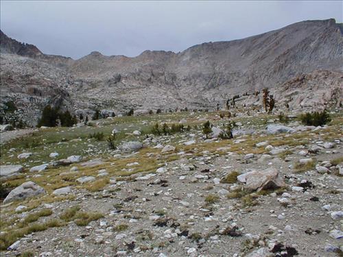 Colby Pass Meadow in July. 2003, Sequoia and Kings Canyon National Park