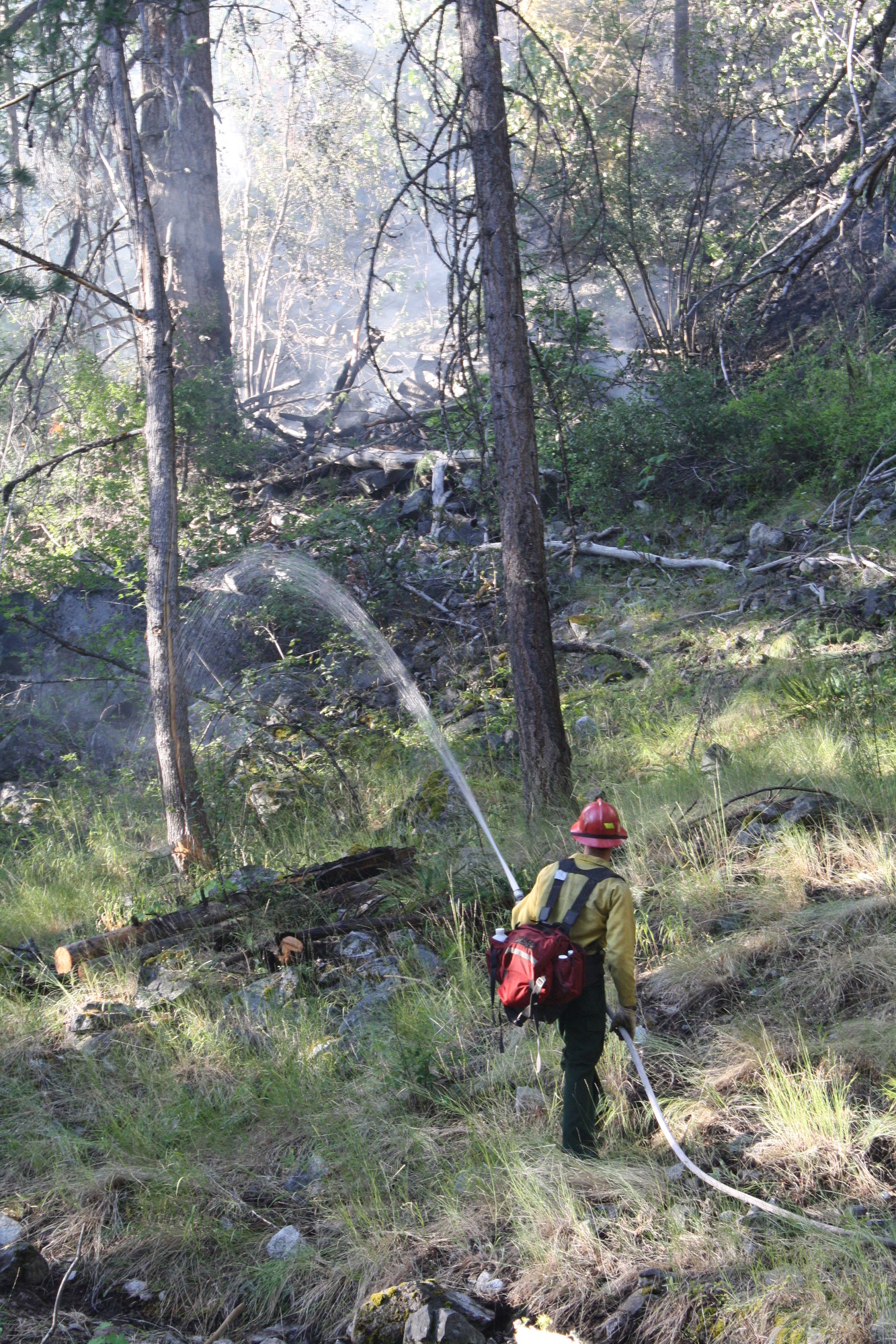 A wildland firefighter sprays water from a hose into a smoldering forest.