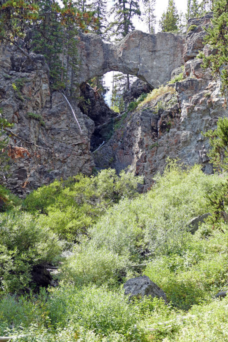 A natural bridge spanning an area where a creek flows made from volcanic rock