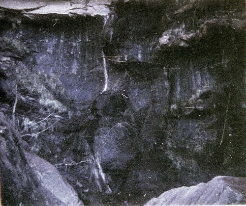 Color Photos of seeps and springs in Zion.