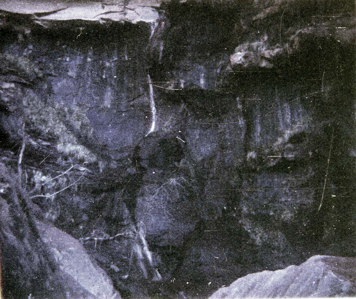 Color Photos of seeps and springs in Zion.