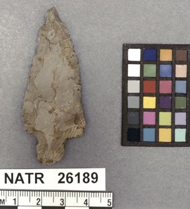NATR   26189 -- Ledbetter projectile point