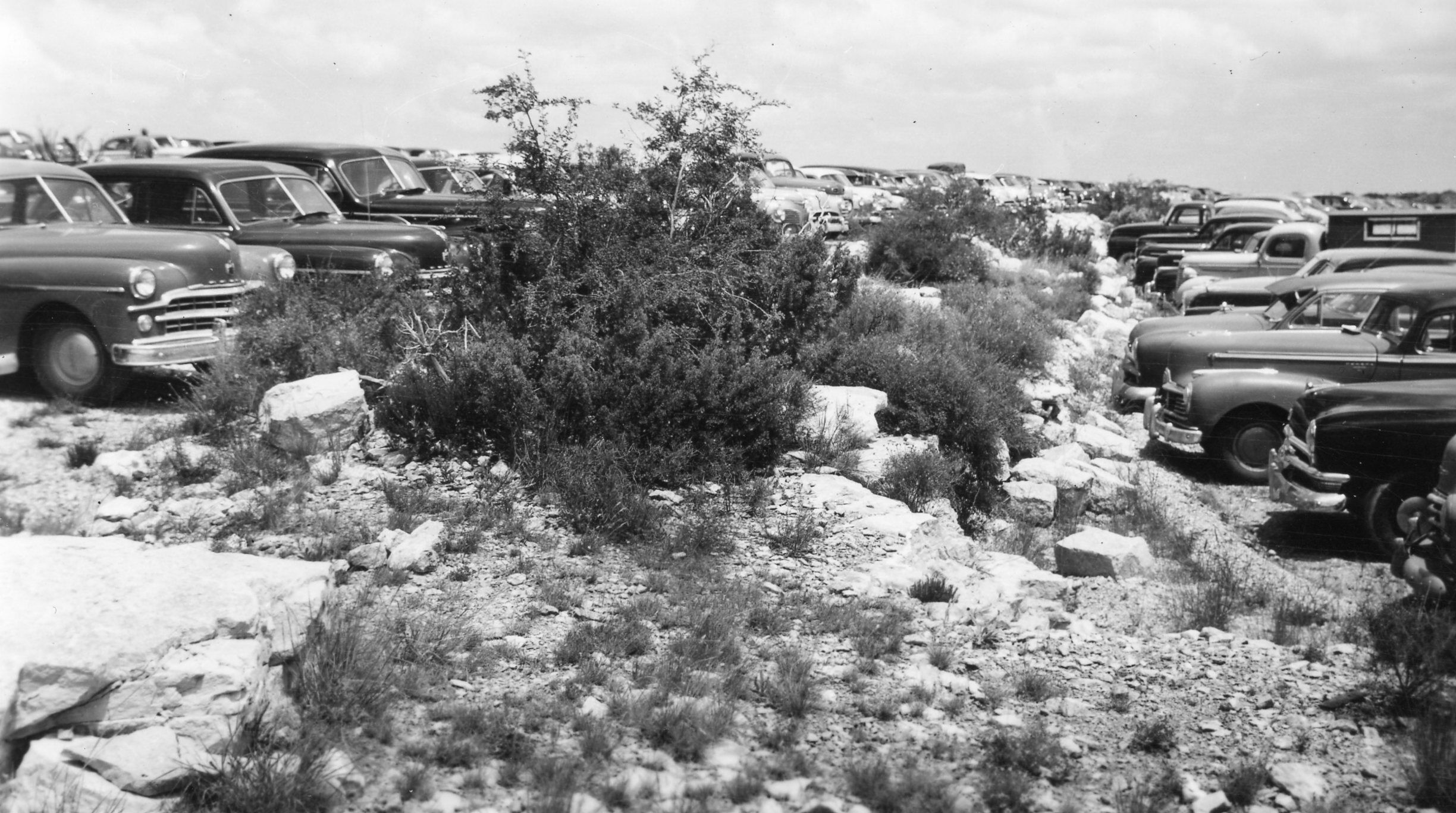 A black and white photograph of the parking lot, its median, and desert foliage with cars parked along it.