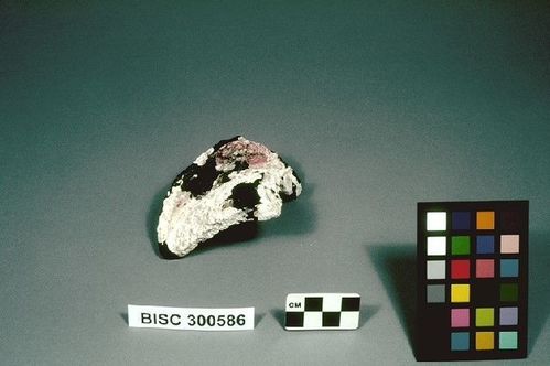 BISC  300586 -- Bottle