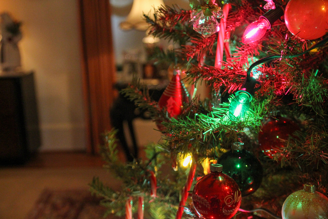 Multicolored Christmas lights, ornaments, and candy canes decorate an evergreen tree.