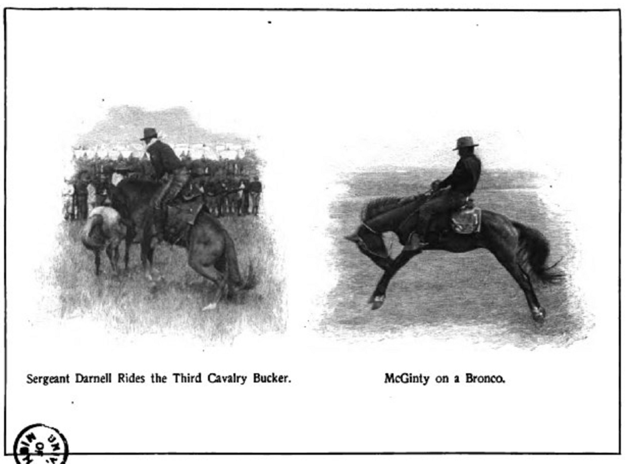 2 black and white image of bronco riders "breaking in" horses. Captions include: (left) Sergeant Darness Rides the Third Cavalry Bucker. Right: McGinty on a bronco. 