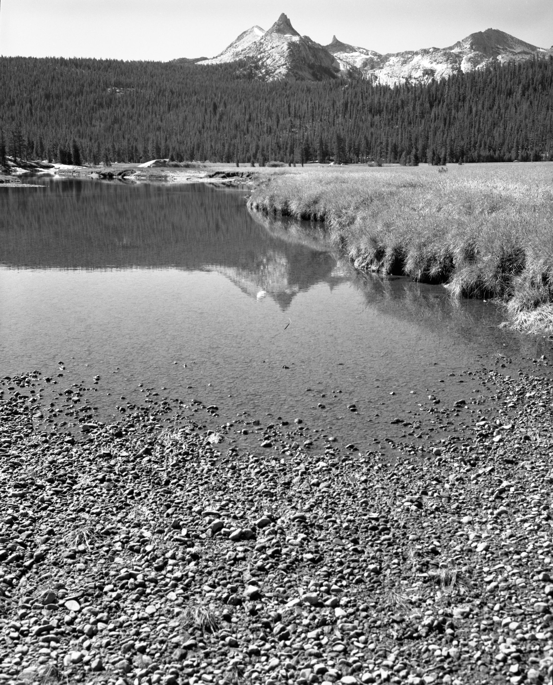 Unicorn Peak from Tuolumne Meadows
