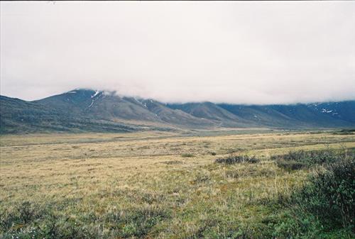 3 Gates of the Arctic National Park and Preserve Itkillik Birds Survey June 2006