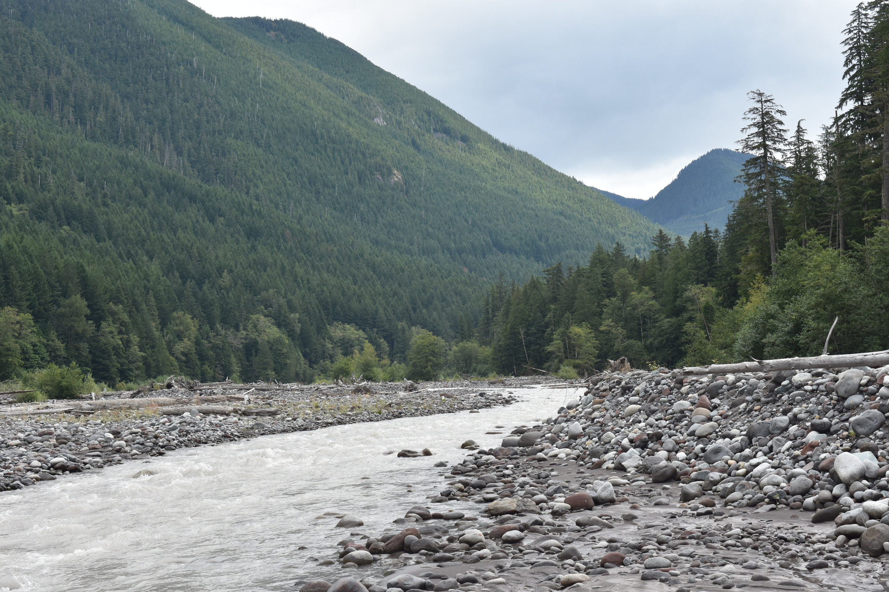 A river flows through a wide, rocky riverbed surrounded by forested mountains. 