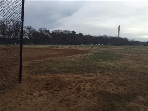 West Potomac Park Ballfields