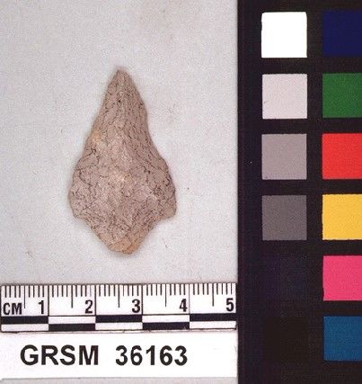 GRSM   36163 -- Point, Projectile