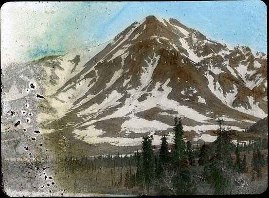 McKinley National Park