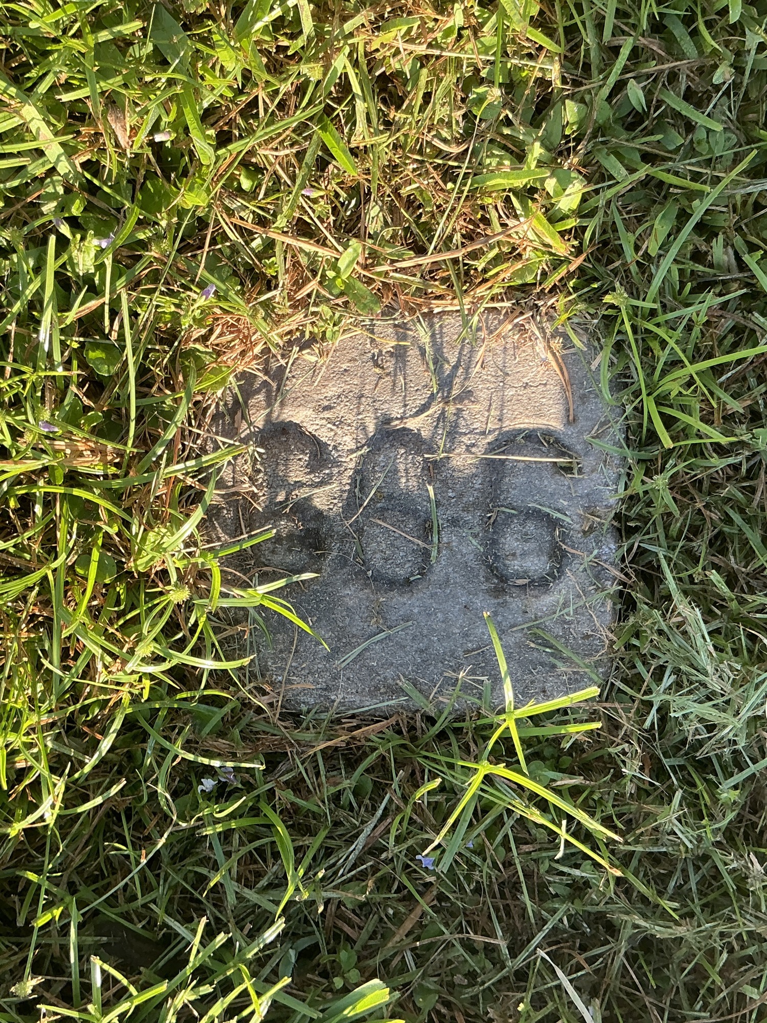 Top of flat marble marker