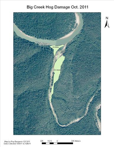 Feral Hog Damage At Big Creek and Sanders Field, Buffalo National River