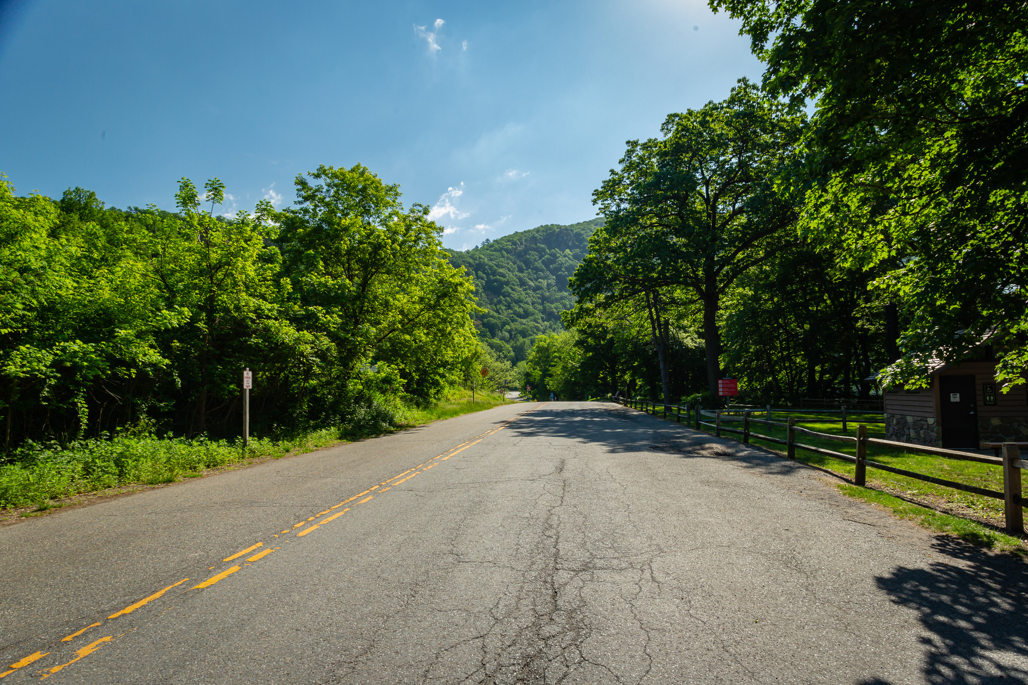 The tree-lined road leading to Kittatinny Point with a split-rail fence along the right side.