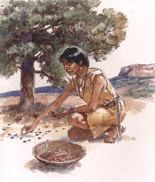 Ancestral Puebloan woman kneeling or bending down to gather juniper berries.