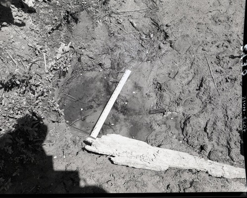 Vandalism of natural resources at Neck Spring, largest of two large seeps. Water matters involving Evan S. Lee.