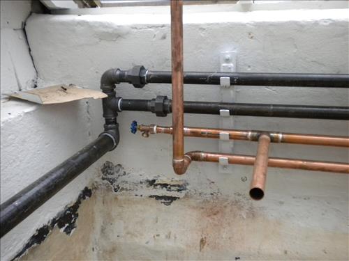 Kenilworth Aquatic Gardens Historic Greenhouse Repair - 50 percent completion December 22, 2010