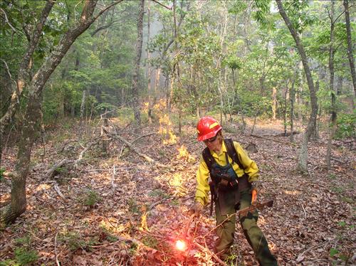 Great Smoky Mountains NP fire staff working, 2002-2004