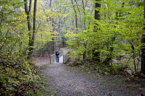 Fall hiker on Boston Run Trail