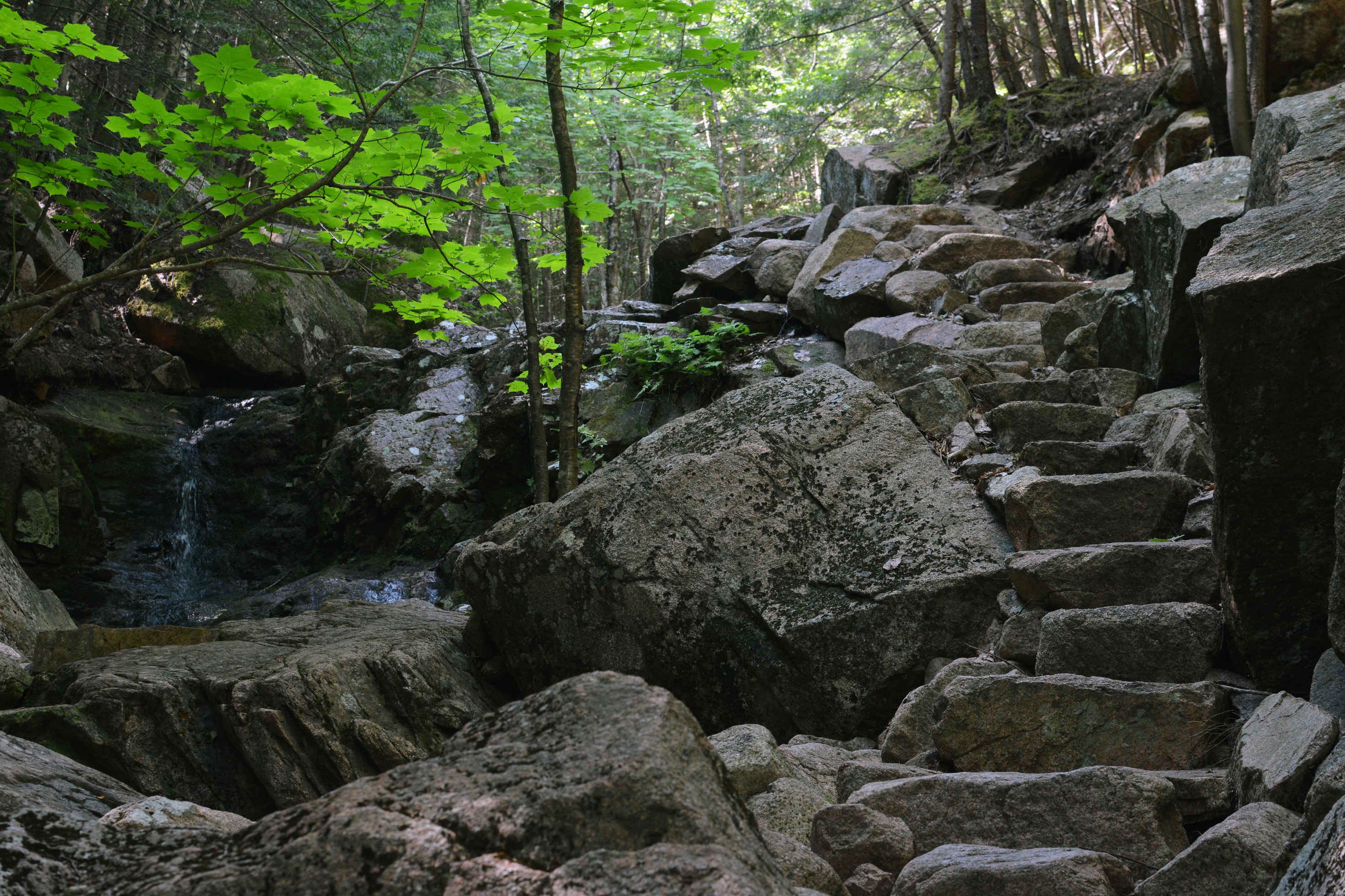 Rocky steps pass by a small cascade