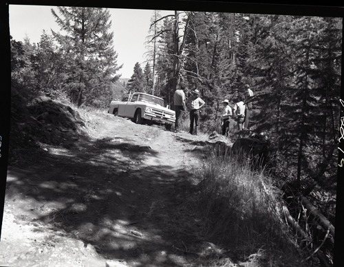 Dirt road from Potato Hollow to Kolob Creek, bulldozer graded road section on park land, several park employees inspect road.