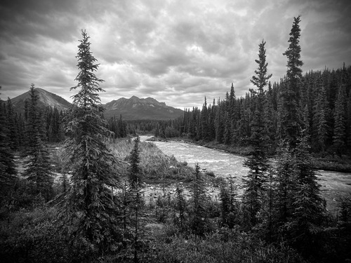 Black and white image of a tree-lined creek with mountains in the distance 