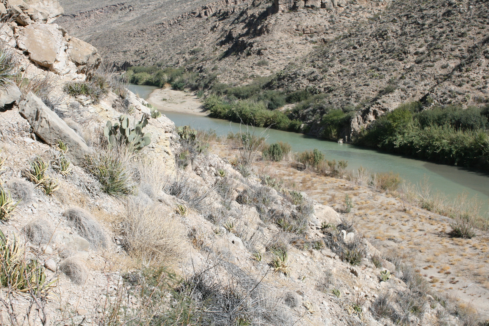 Photo of the Rio Grande