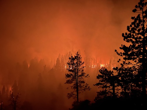 A forest stand at night with bright yellow flames in the distance and the whole scene glowing orange in the smoke