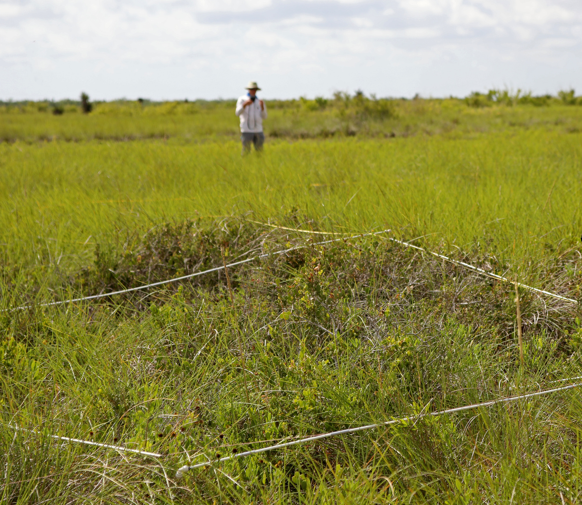 View into a salt prairie with a square sampling frame in the foreground and a person standing in the background 