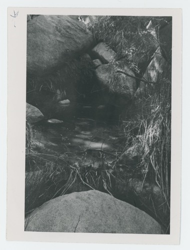 Black and white image of 49 Palms Oasis and Canyon