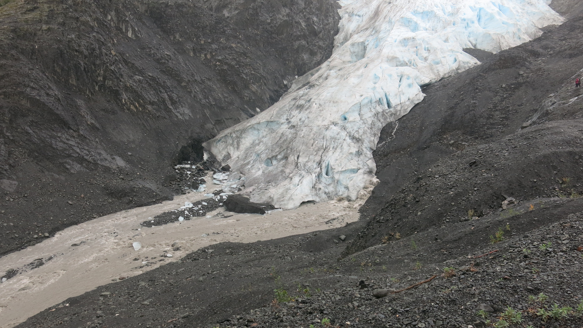 Exit Glacier terminus August 17, 2016