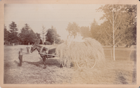 A hayride for the children in front of Glenmont.