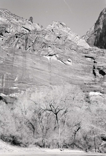 BW Photos of Weeping Rock - 35mm.