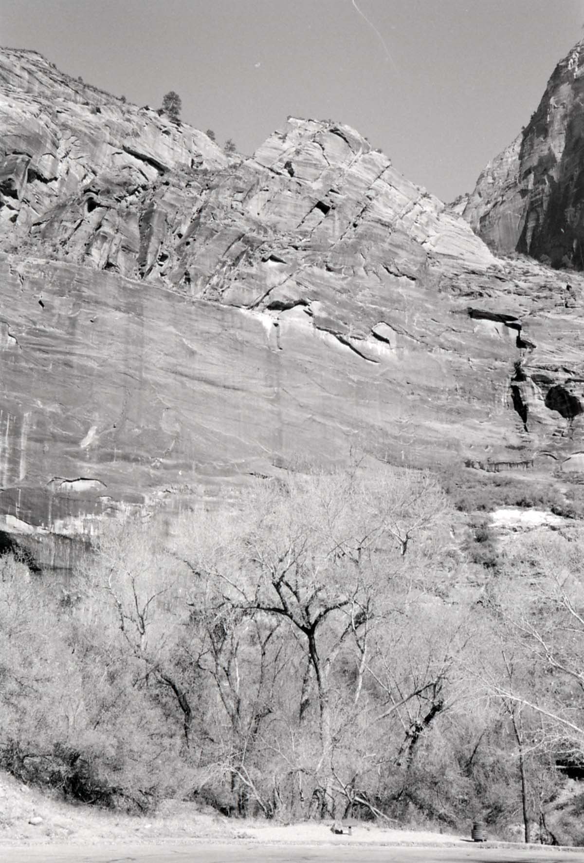 BW Photos of Weeping Rock - 35mm.