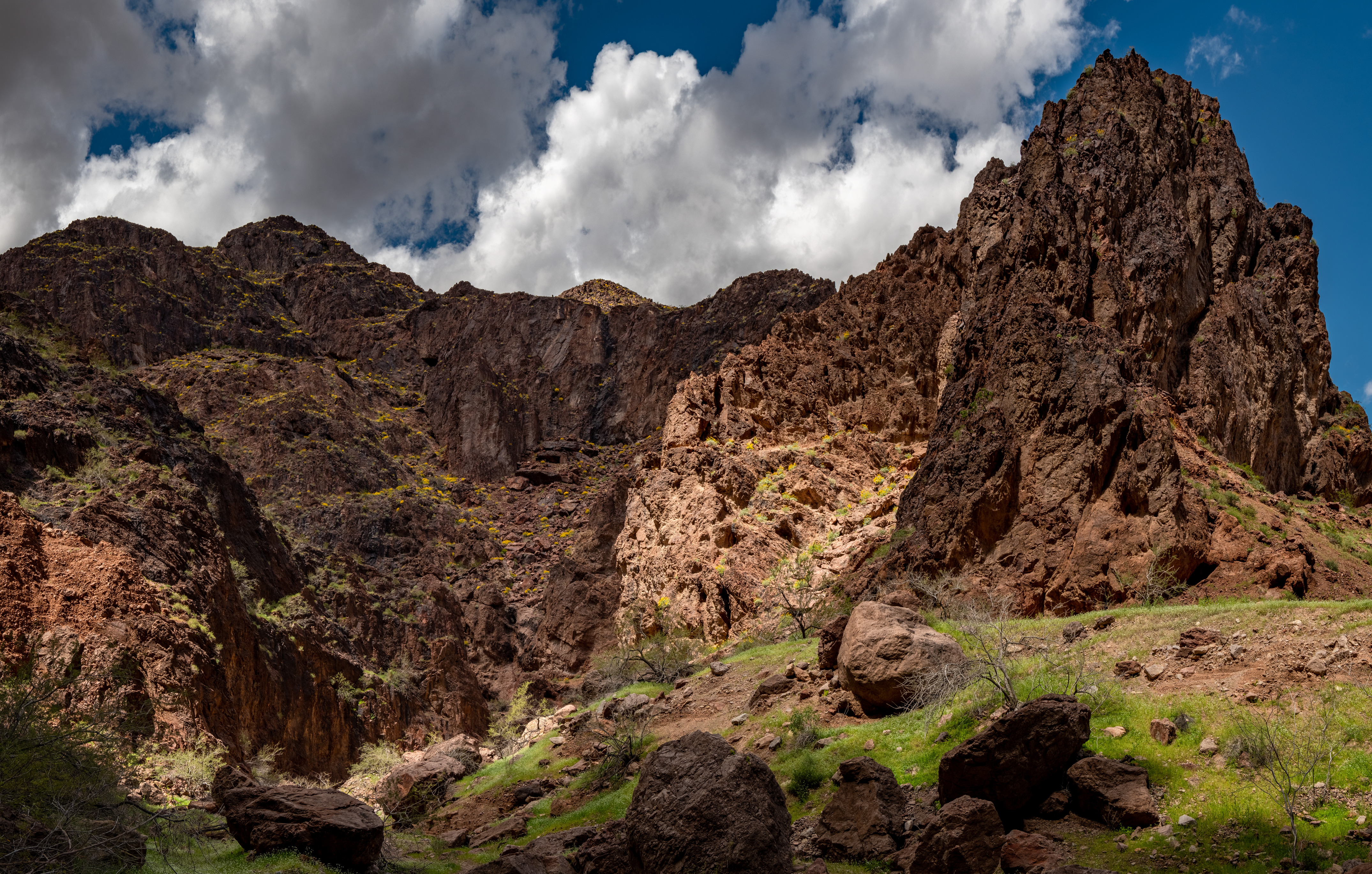 low green foliage lower right, rough hills and cloudy sky behind