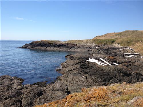 Location of OLYM SAJH OA sites