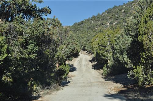 Cyclic Roads Brushing Needs