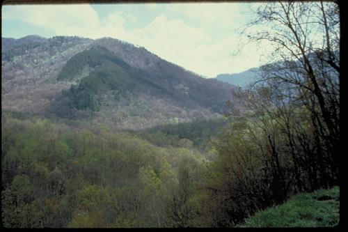 Views at Great Smoky Mountains National Park, Tennessee and North Carolina