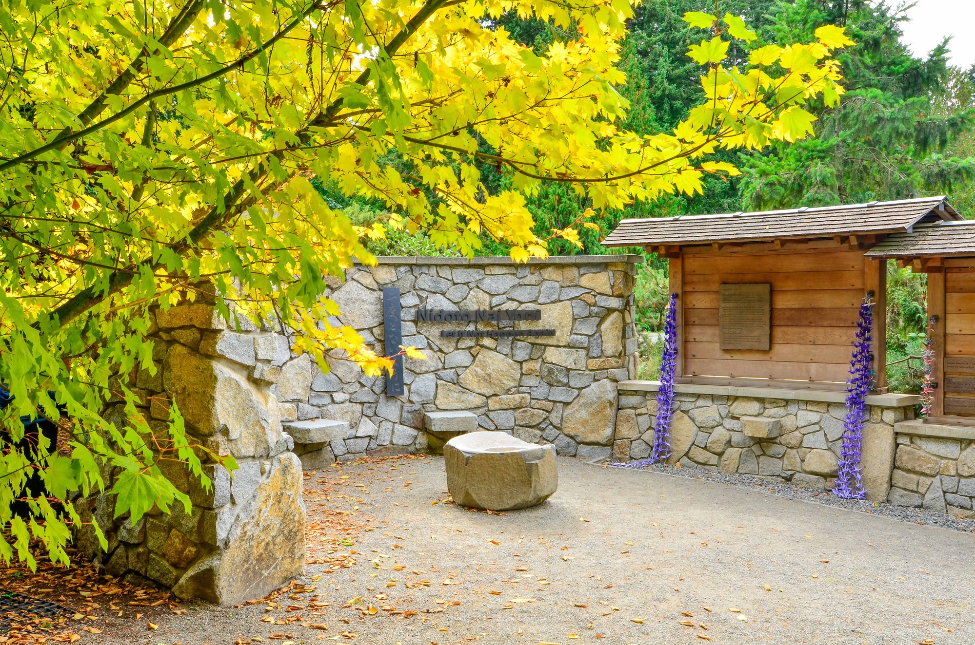Yellow and green tree frames a stone and wooden wall memorial structure.