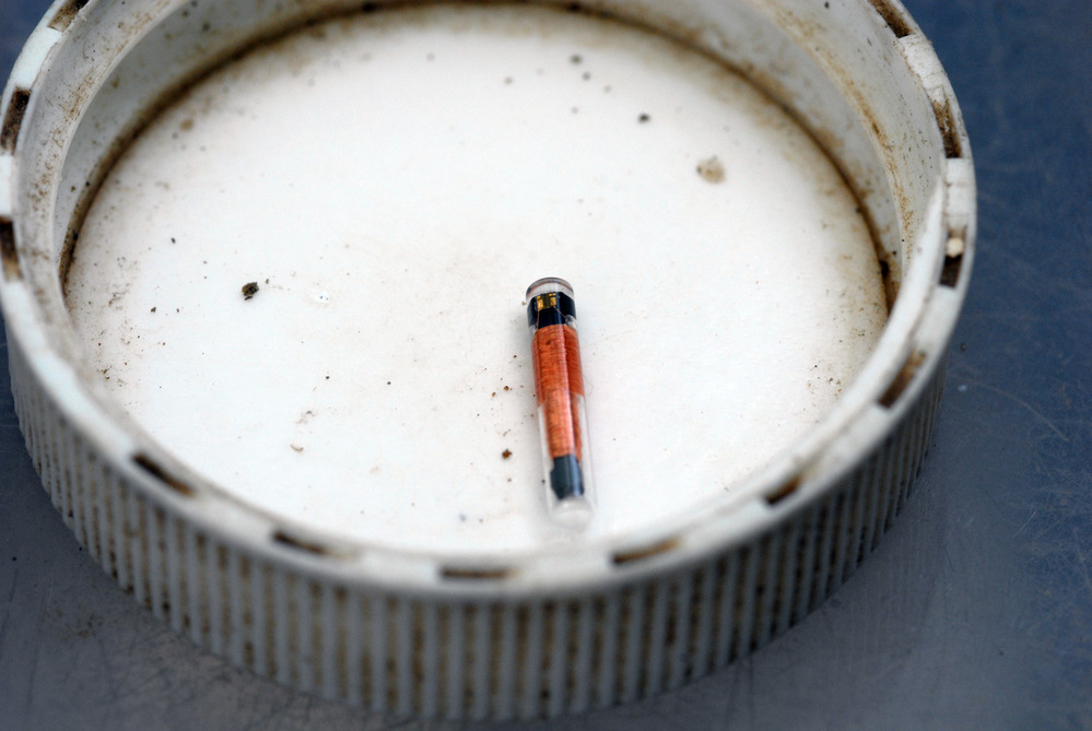 PIT tag in a bottle cap ilustrating it's tiny size