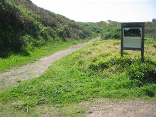 Implement Phase Four of Redwood Creek Restoration at Muir Beach (Big Lagoon Project)