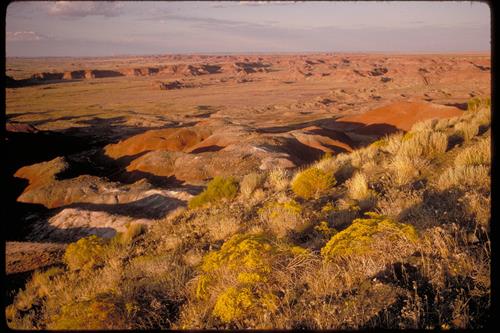 Painted Desert Views at Petrified Forest National Park, Arizona