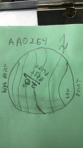 GRSM Accuracy Assessment. Plot Code: GRSM_AA_0264_map