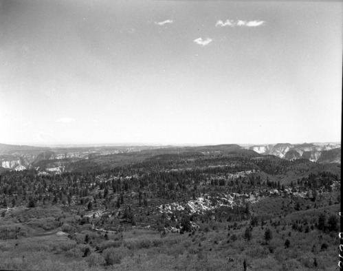 The view of a plateau forest and into a canyon (?). Exhibit 19-1.